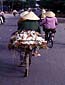 Vietnam-geese-on-bike